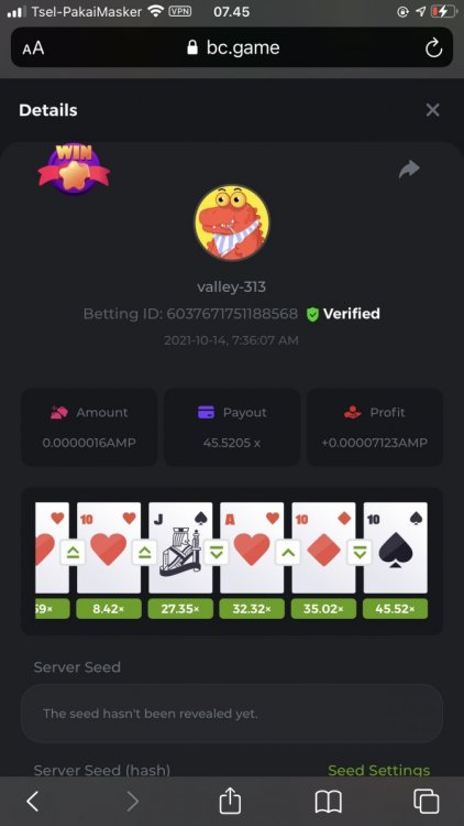 Bitcoin Hilo Game - Play Jacks or Better VP for BTC Online (2).png